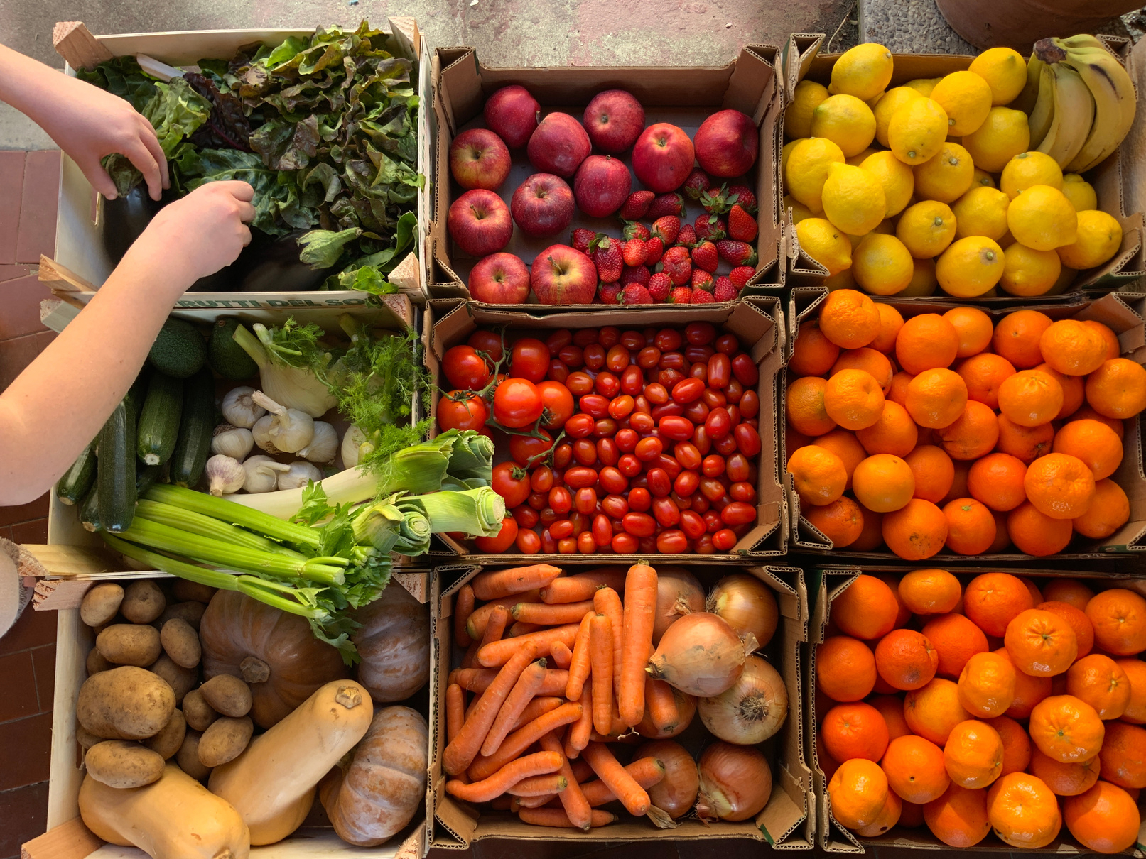 Boxes with Fresh Fruits and Vegetables